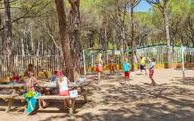 Volleyball, Tischtennis und ein Basketballplatz locken die Großen zum Sport